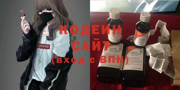 гашик Алексеевка