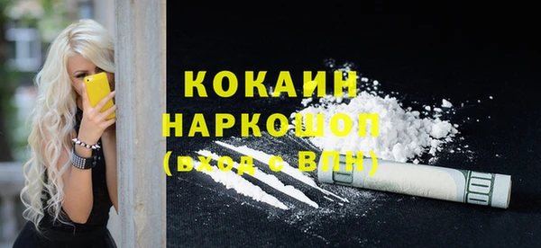 гашик Алексеевка