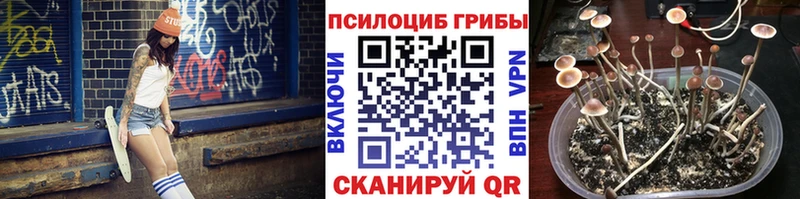Псилоцибиновые грибы прущие грибы  Углич 